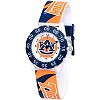 Auburn University Tigers