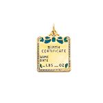 Quality Gold 14k Yellow Gold Enameled Blue Birth Certificate Charm