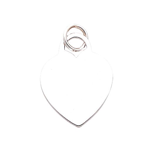 14K White Gold Heart disk Charm