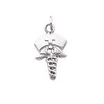 Quality Gold 14k White Gold Nurse Symbol with Cap Charm