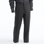 Structure Luxury Dress Pant