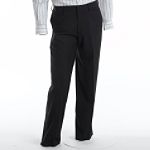 Structure Flat-Front Dress Pant