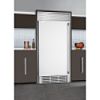 16.8 cu. ft. Professional Size Freezer