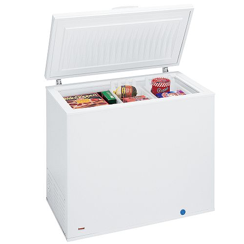 Frigidaire 8.8 cu. ft. Chest Freezer - FFC0923D