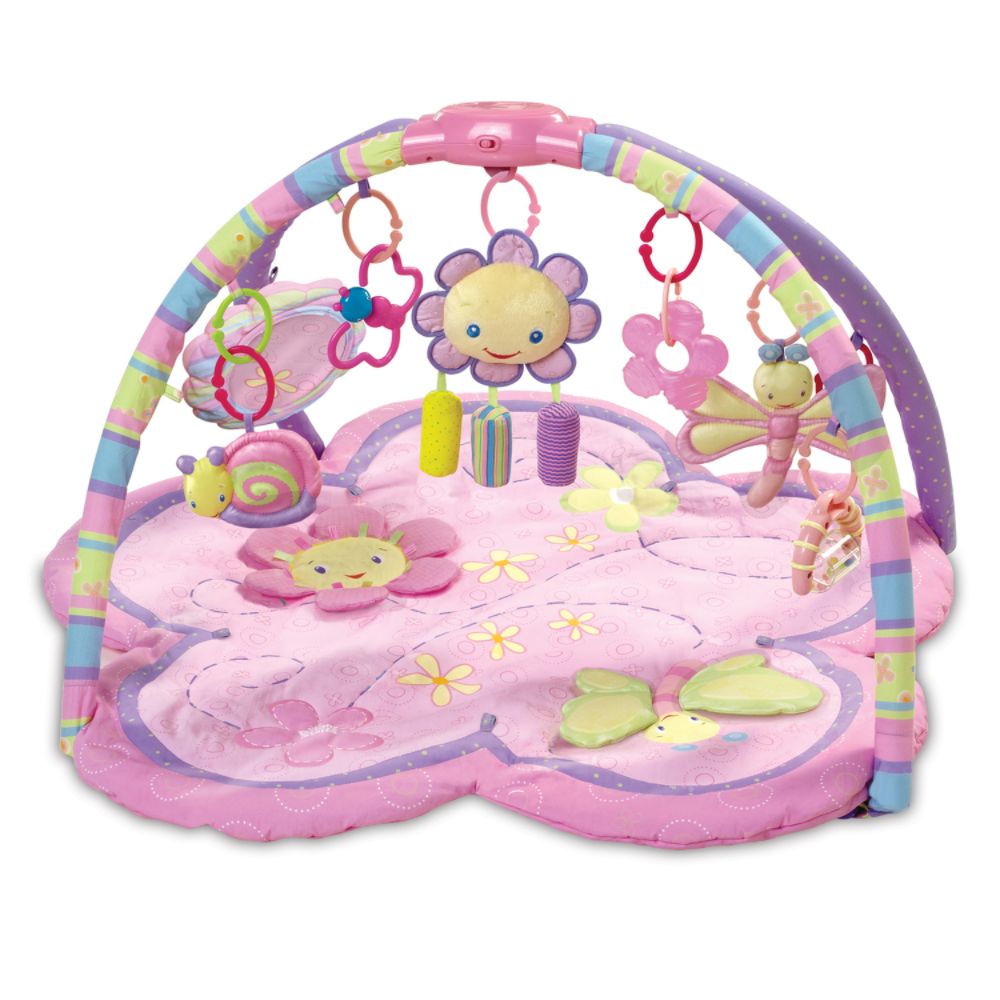 Bright Starts Pretty In Pink Supreme Play Gym