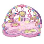Bright Starts Pretty In Pink Supreme Play Gym