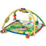 Baby Einstein Seek & Discover Activity Gym by Kids II, Inc.