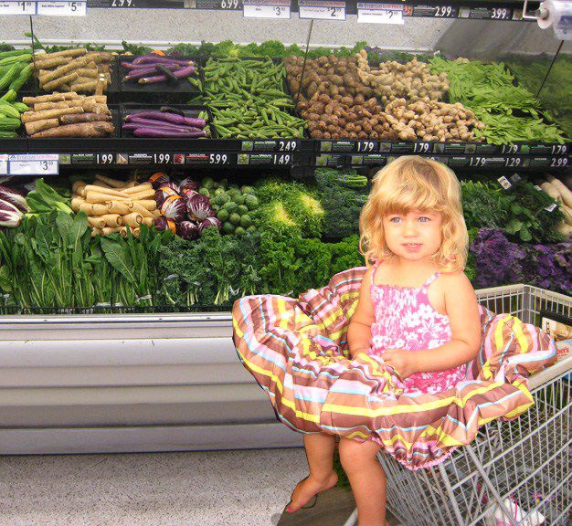 Wupzey! Shopping Cart/Diner Cover- Reversible Pink Stripe