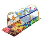 Baby Einstein Animal Exploration Tunnel