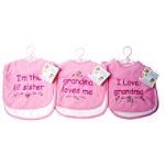 Baby Essentials 2 Pack Bib Set - Pink by 
