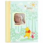 Winnie the Pooh Memory Book, Winnie the Pooh