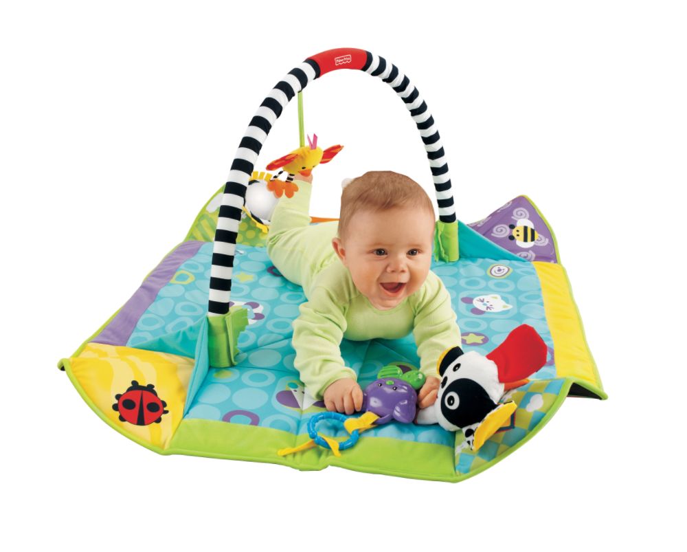 Fisher Price Miracles & Milestones Pop Open Play Gym