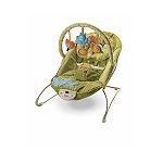 Fisher-Price Green Meadows Bouncer