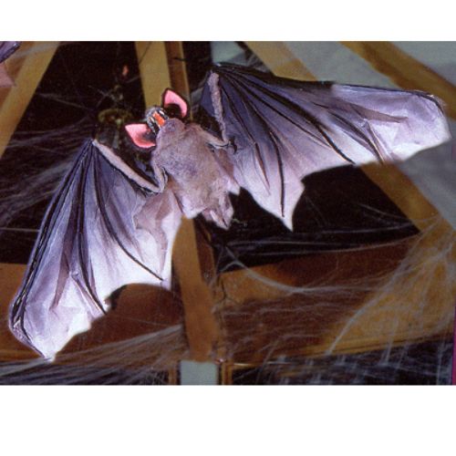 BuySeasons Hanging Bat Halloween Decoration