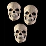 Skull Set Decorations
