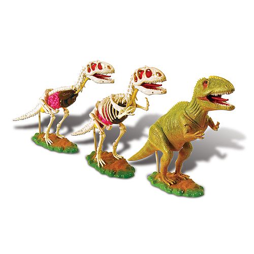  Anatomics Dinosaur 
