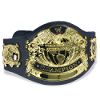 WWE Belt Series 4 - Undisputed Belt
