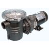1 hp WaterWay Above Ground Hi-Flo Pump