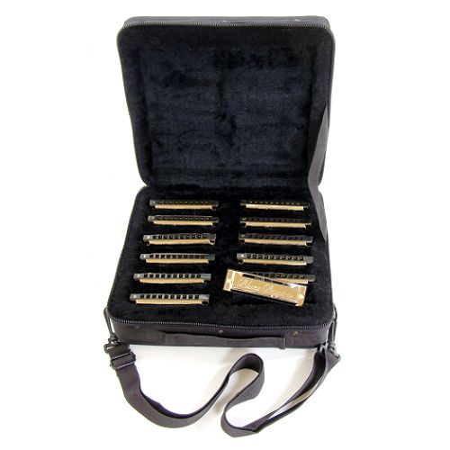 Synsonics BLUES BAYOU 12 PIECE HARMONICA SET