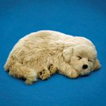 Distributoys Golden Retriever