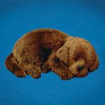 Distributoys Chocolate Lab