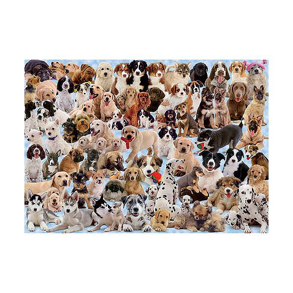 Dogs Galore! - 1000 piece Jigsaw Puzzle