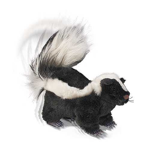 R/C Skunk