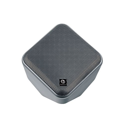 Buy Boston Acoustics SoundWare Indoor Outdoor Speaker, 100W - Silver