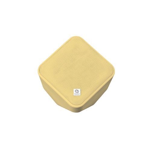 Buy Boston Acoustics SoundWare Indoor Outdoor Speaker, 100W - Bamboo