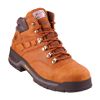 Johnson Hiker