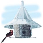 Arundale Mandarin Bird Feeder with Divider
