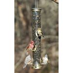 Aspects Large Antique Brass Seed Tube Bird Feeder