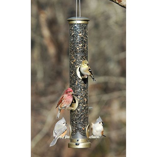 Aspects Large Antique Brass Seed Tube Bird Feeder