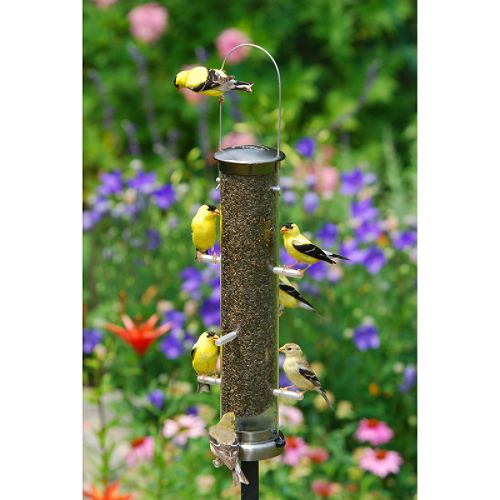 Aspects Medium Brushed Nickel Thistle Bird Feeder