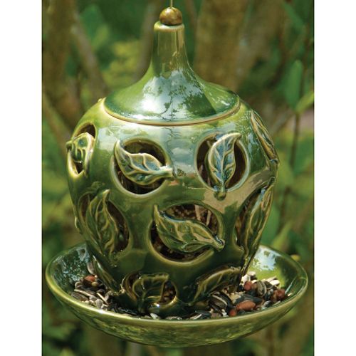 Bird Brain Silhouette Bird Feeder Leaves