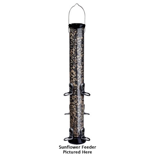 Droll Yankee Onyx Nyjer Tube Bird Feeder