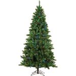 Pine Christmas Tree with multi-colored lights