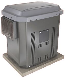 Briggs & Stratton 7,000 Watt "Power Now" Standby Generator