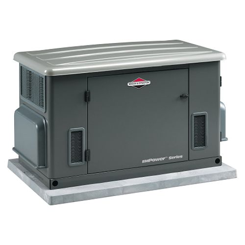 Briggs and Stratton 15 000 Watt Home Generator - 040303 Best Price