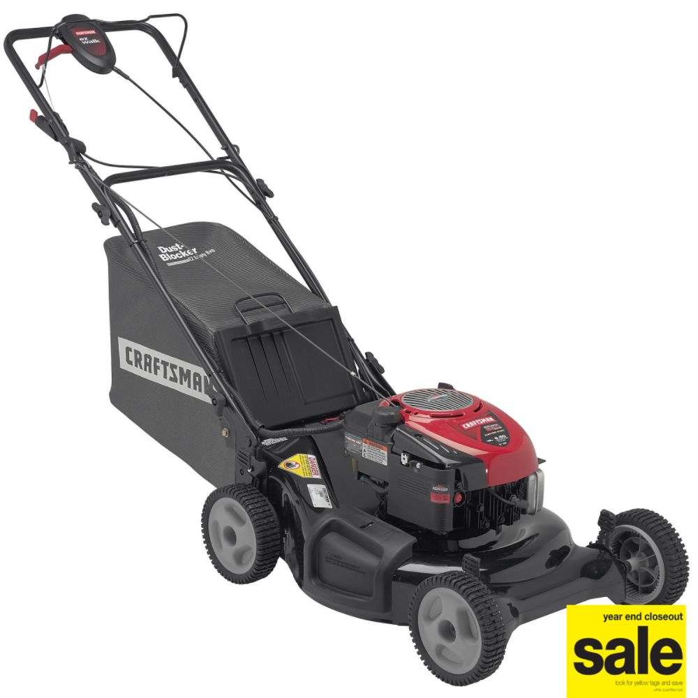 6.50 Torque Rating (190CC) 21 in. Deck 3-n-1 Mulch-Bag-Discharge Rear Bag Mower