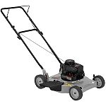 Companion 4.75 Torque Rating 20 in. Deck Side Discharge Push Lawn Mower