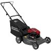 5.5 Torque Rating 21 in. 2-n-1 Deck Rear Bag Push Lawn Mower