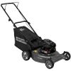 5.5 Torque 21 in. 2-n-1 Deck Rear Bag Push Lawn Mower