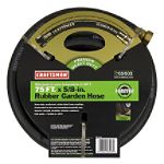 Craftsman 5/8 in. x 75 ft. Hose