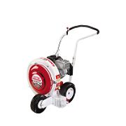 blower blower