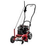 Craftsman 5.0 ft-lbs Gross Torque Edger with 500 Series Briggs & Stratton Engine by Briel