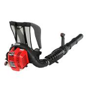 blower blower