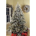 CMI Lites 6.5 Ft. Full Prelit Glacial Fir Tree with Flocked Tips and Pine Cones, Clear,