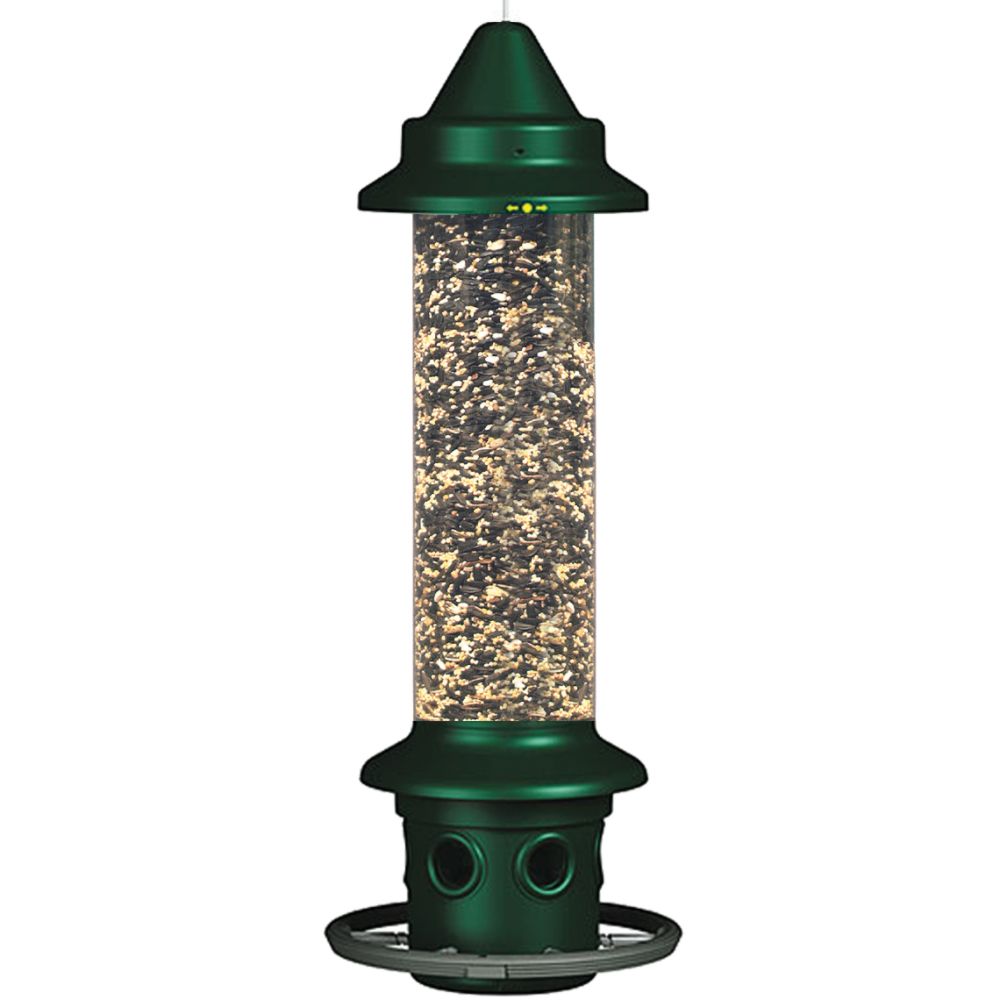 Brome Squirrel Buster Plus Wild Bird Feeder with Cardinal Perch Ring