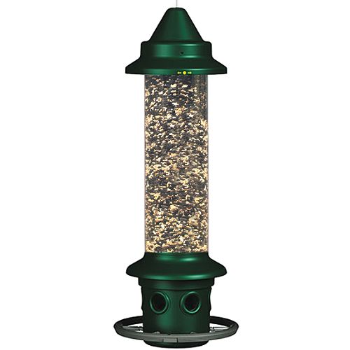 Brome Squirrel Buster Plus Wild Bird Feeder with Cardinal Perch Ring